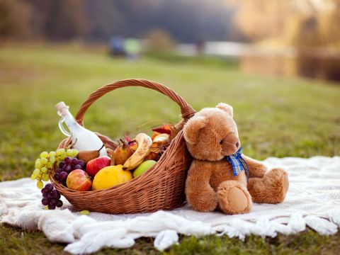 Picnic basket outside with teddy bear. 
